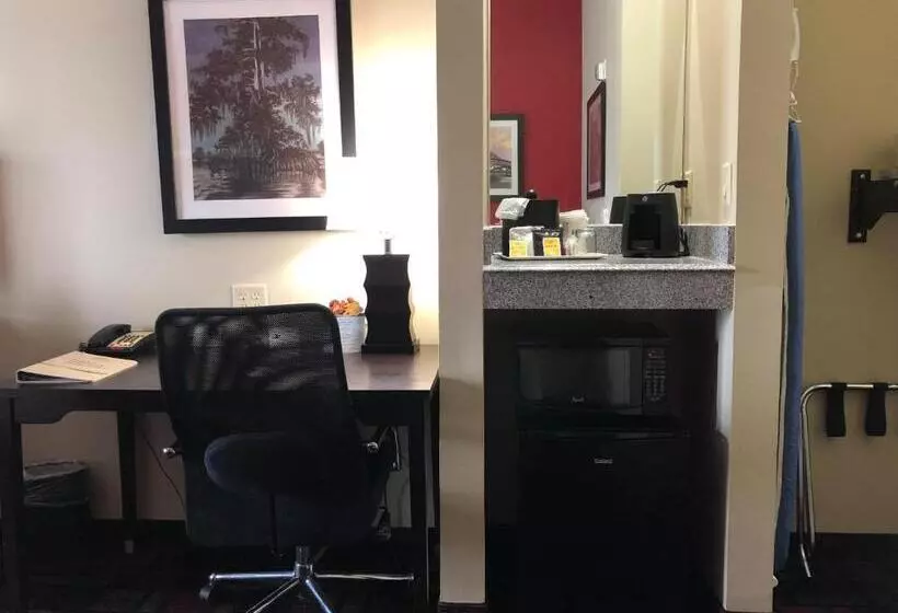 身障者適用キングサイズベッドルーム, Wingate By Wyndham Lake Charles Casino Area