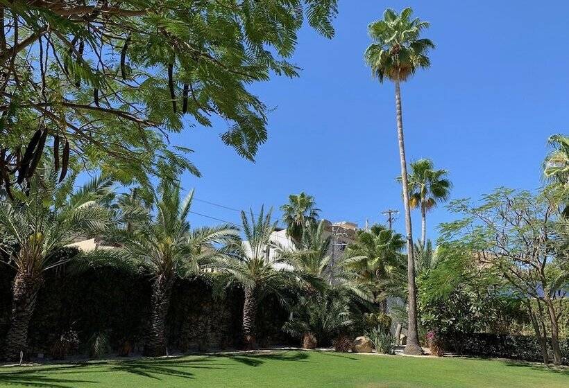 小型套房, Los Milagros