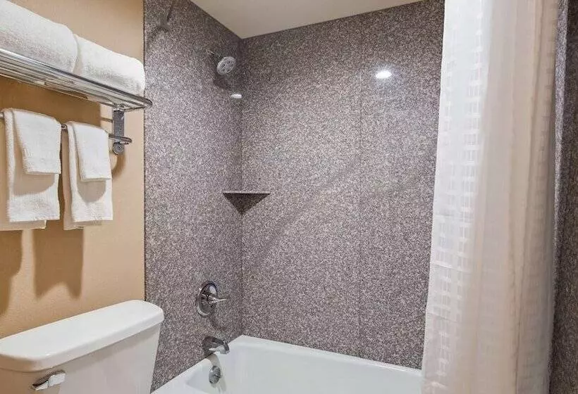 Standard-huone 2 Parivuodetta, Surestay Hotel By Best Western Tupelo North