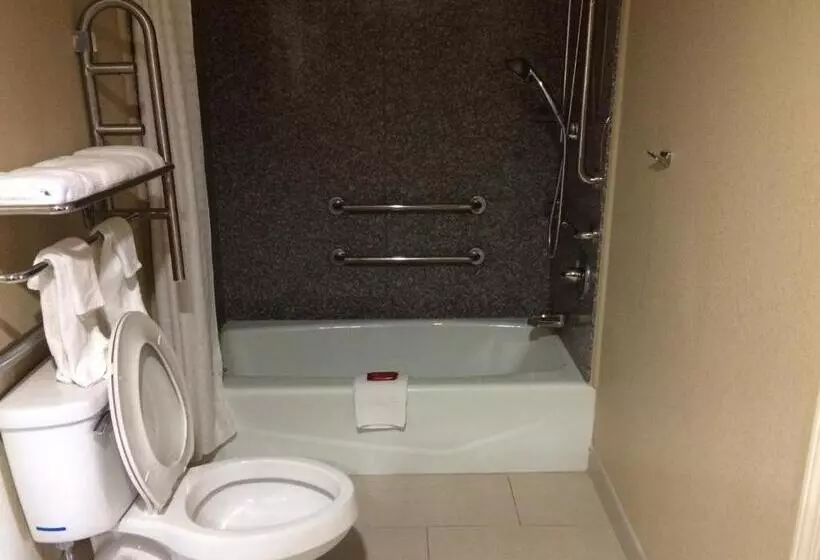 Standard-invahuone King-vuode, Surestay Hotel By Best Western Tupelo North