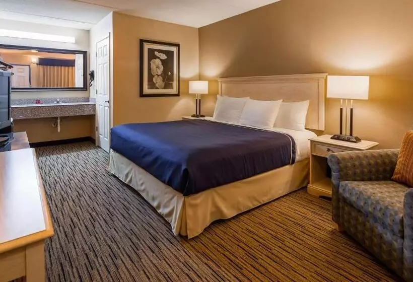 Standard-invahuone King-vuode, Surestay Hotel By Best Western Tupelo North