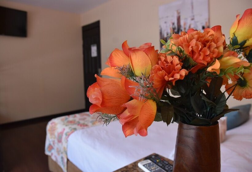 غرفة سوبيريور, Hostel Casa Colon