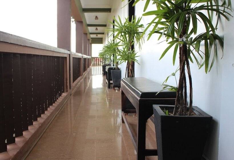 디럭스 룸, Central Night