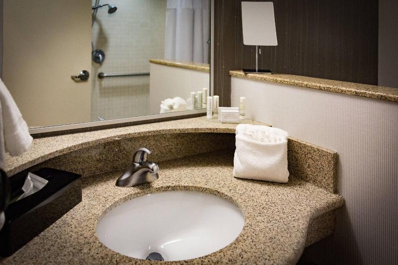 غرفة قياسية سرير كينج, Courtyard By Marriott Norman