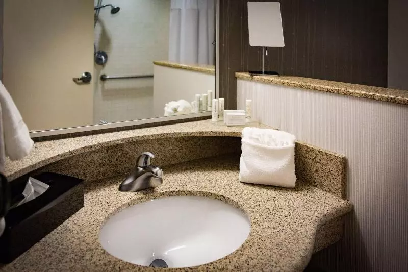キングサイズベッドのスタンダードルーム, Courtyard By Marriott Norman