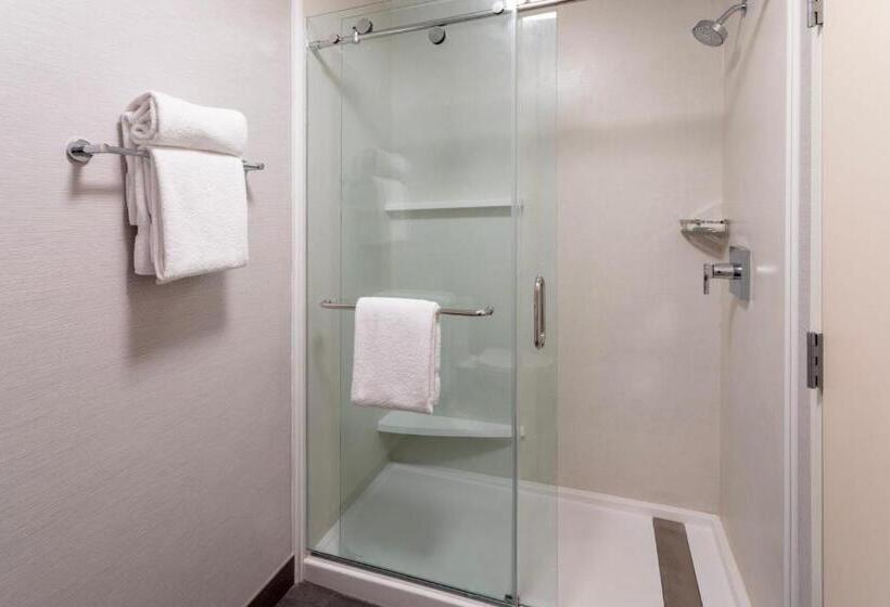 غرفة قياسية, Courtyard Minneapolis St. Paul/roseville