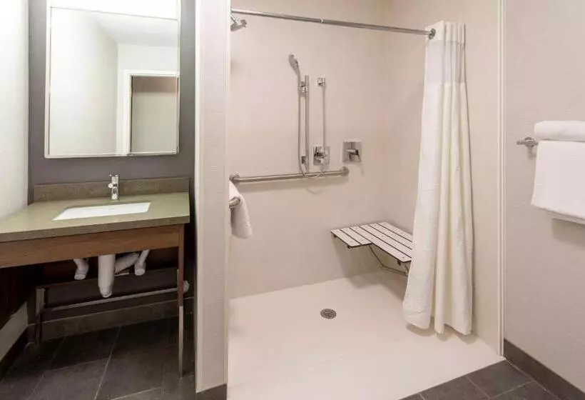 身障者適用キングサイズベッドルーム, Courtyard Minneapolis St. Paul/roseville