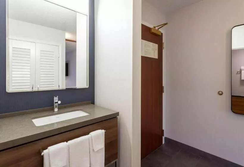 身障者適用スタンダードルーム, Courtyard Minneapolis St. Paul/roseville