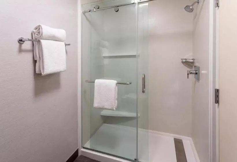 身障者適用スタンダードルーム, Courtyard Minneapolis St. Paul/roseville