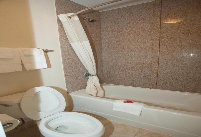 غرفة قياسية سرير كينج, Econo Lodge