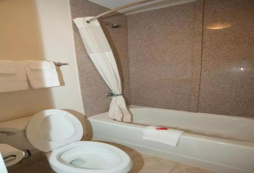 Standard-huone King-vuode, Econo Lodge