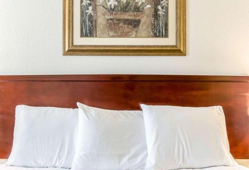 غرفة قياسية سرير كينج, Econo Lodge