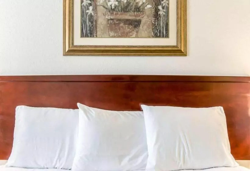 Standard-huone King-vuode, Econo Lodge