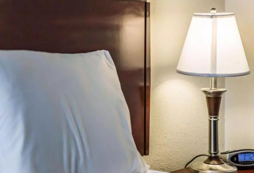 Standard-huone King-vuode, Econo Lodge