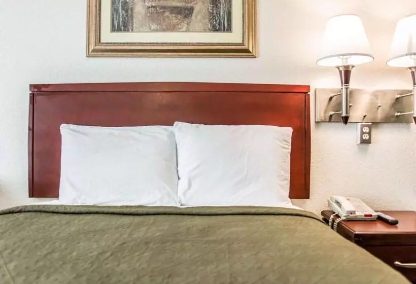 Standard-huone King-vuode, Econo Lodge