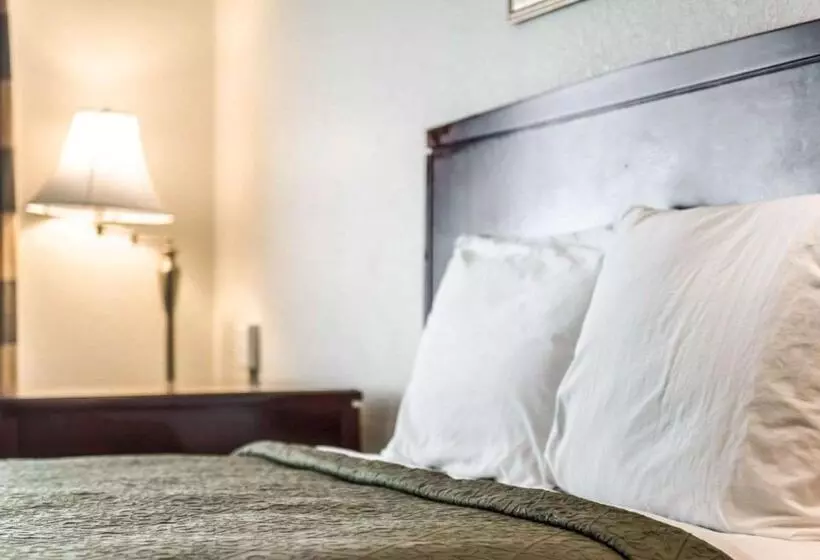 Standard-huone, Econo Lodge