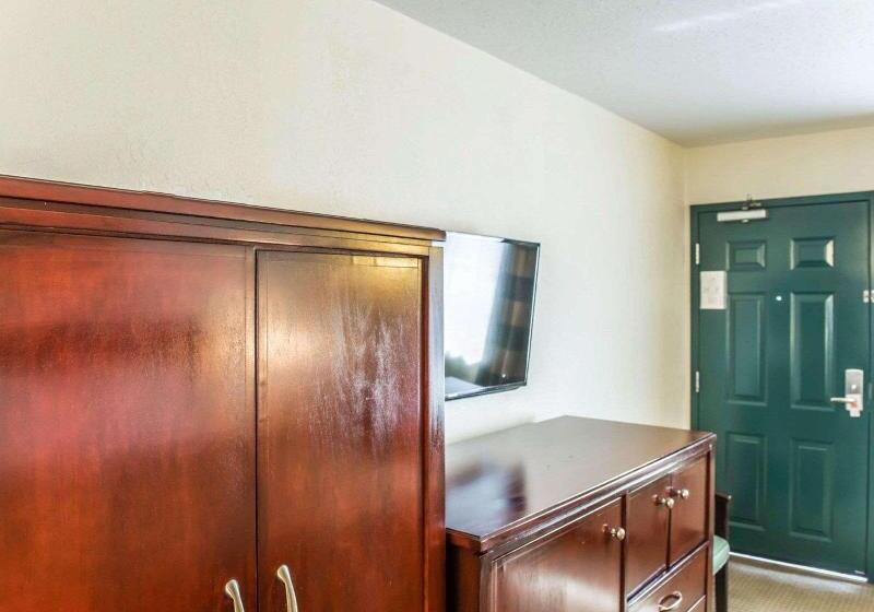 غرفة قياسية سرير كينج, Econo Lodge