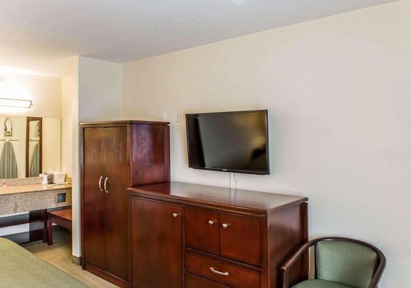 חדר סטנדרט עם מיטת קינג, Econo Lodge