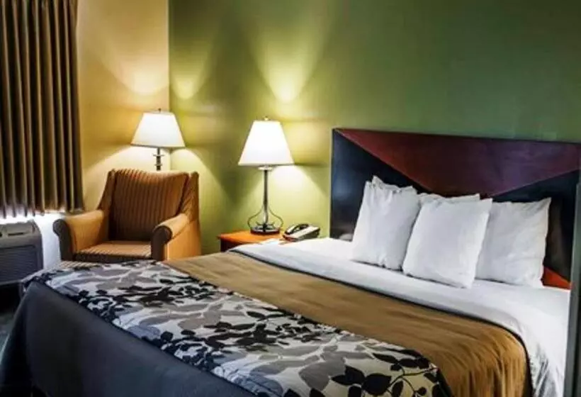 اتاق استاندارد با تخت بزرگ, Sleep Inn & Suites