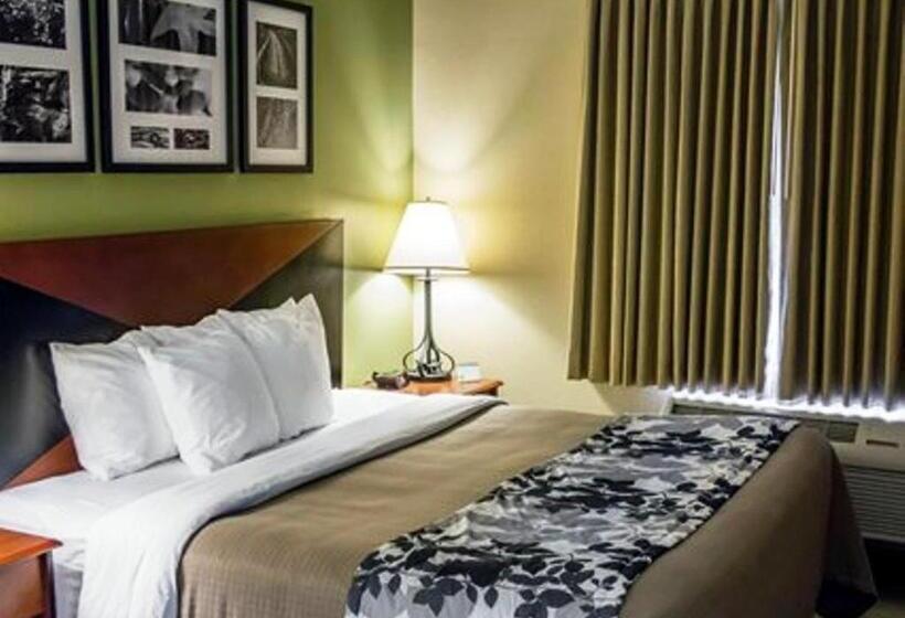 غرفة قياسية سرير كينج, Sleep Inn & Suites