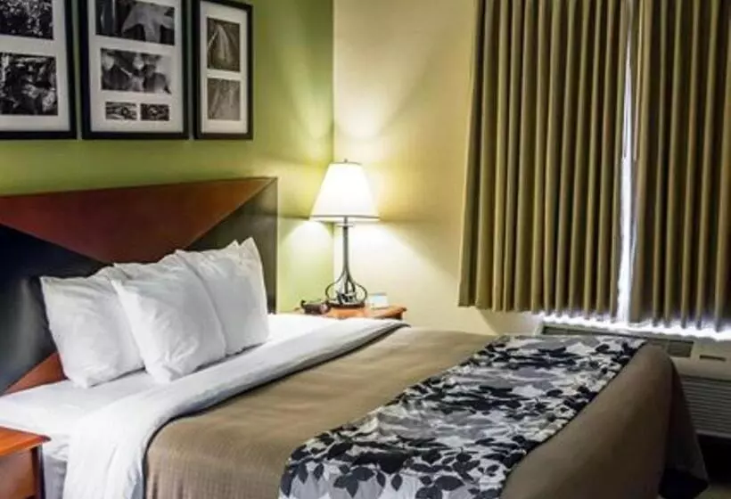 اتاق استاندارد با تخت بزرگ, Sleep Inn & Suites