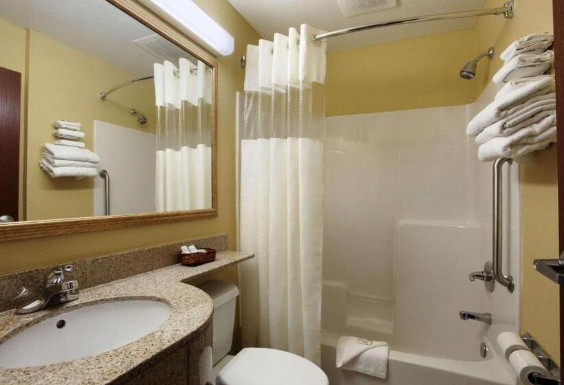 장애인을 위한 스탠다드 룸, Microtel Inn & Suites By Wyndham Panama City