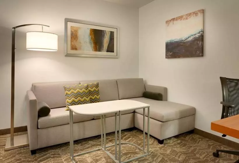 スタンダードスタジオ, Springhill Suites By Marriott Rexburg