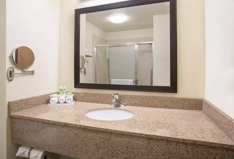 スイート, Holiday Inn Express & Suites Truth Or Consequences, An Ihg