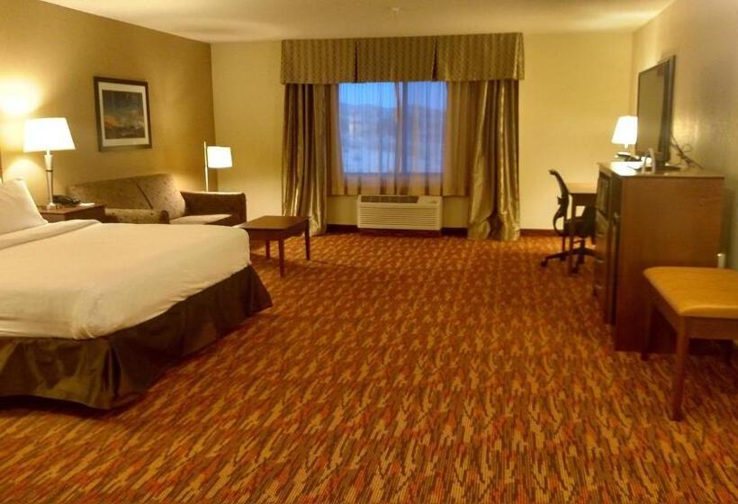 اتاق لوکس با تخت بزرگ, Holiday Inn Express & Suites Truth Or Consequences, An Ihg