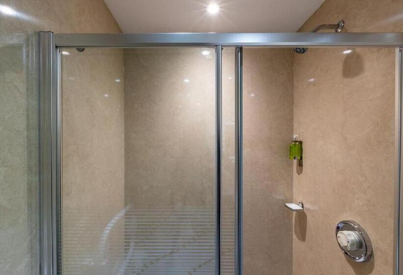 스탠다드 싱글 룸, Holly Lodge Guest House With Free Off Site Health Club