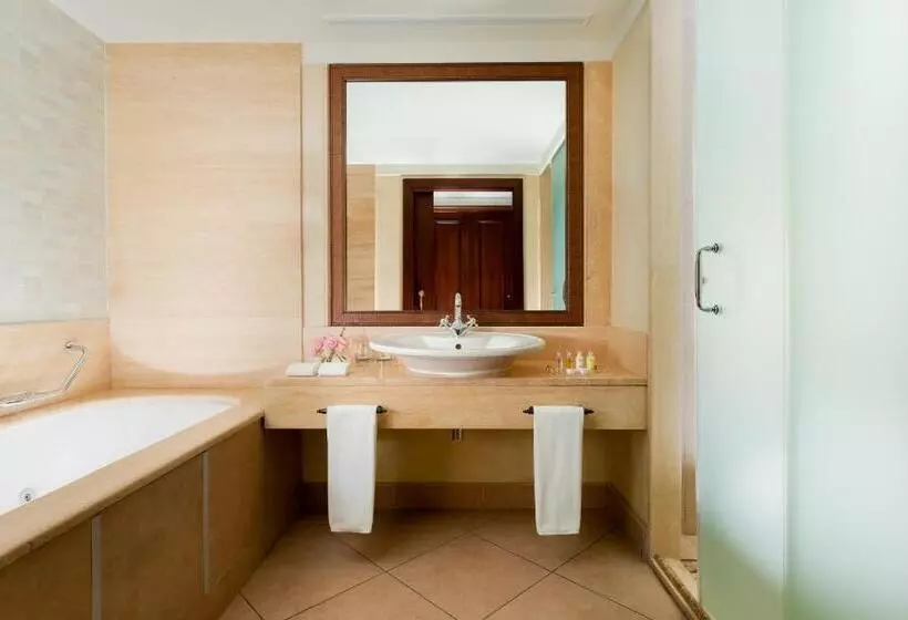 اتاق لوکس با چشم‌انداز شهر, Rixos Almaty