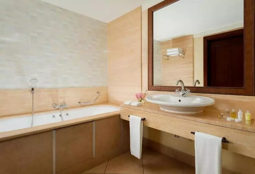 اتاق لوکس با چشم‌انداز شهر, Rixos Almaty