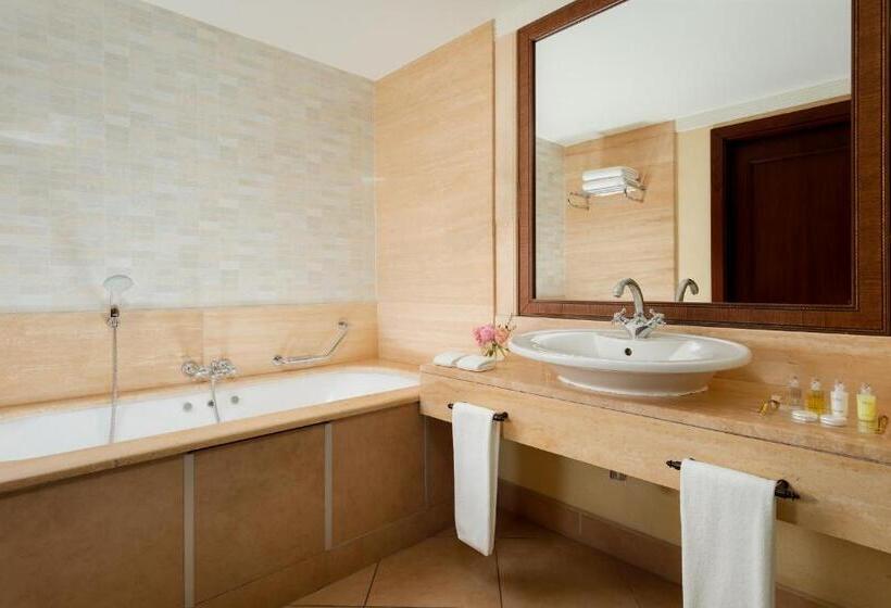 اتاق دلوکس با چشم‌انداز پارک, Rixos Almaty