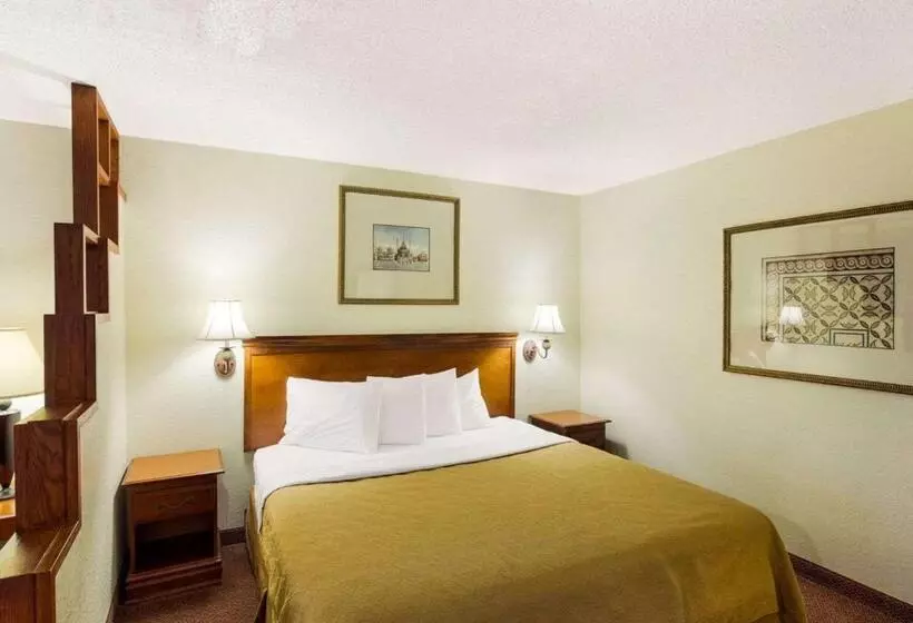 キングサイズベッドのスタンダードルーム, Rodeway Inn & Suites South Of Fiesta Park