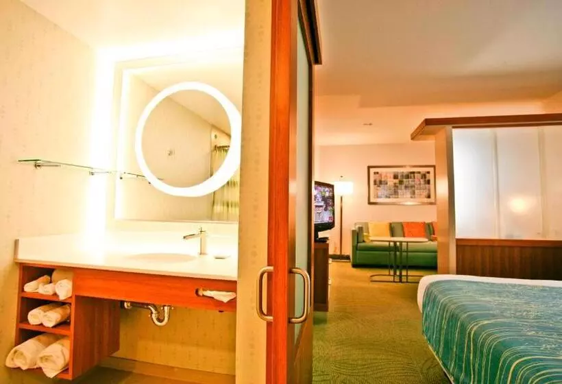 キングサイズベッドのスタンダードルーム, Springhill Suites Temecula Valley Wine Country