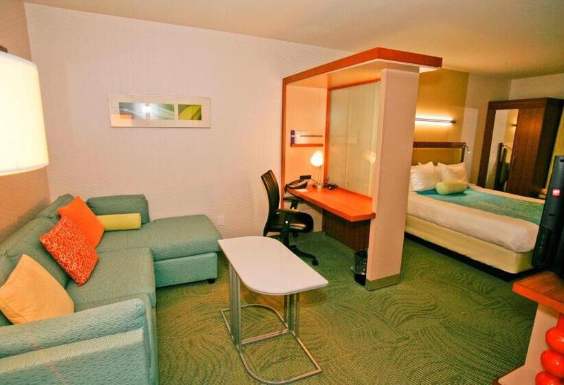 带大床的标准间, Springhill Suites Temecula Valley Wine Country