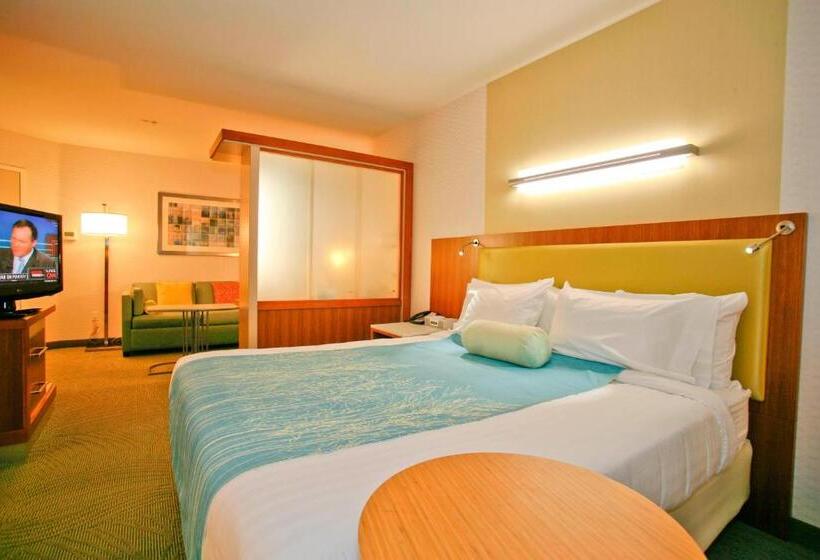 带大床的标准间, Springhill Suites Temecula Valley Wine Country