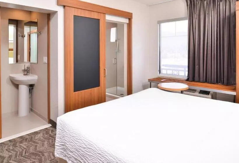 キングサイズベッドのスタンダードルーム, Springhill Suites Temecula Valley Wine Country