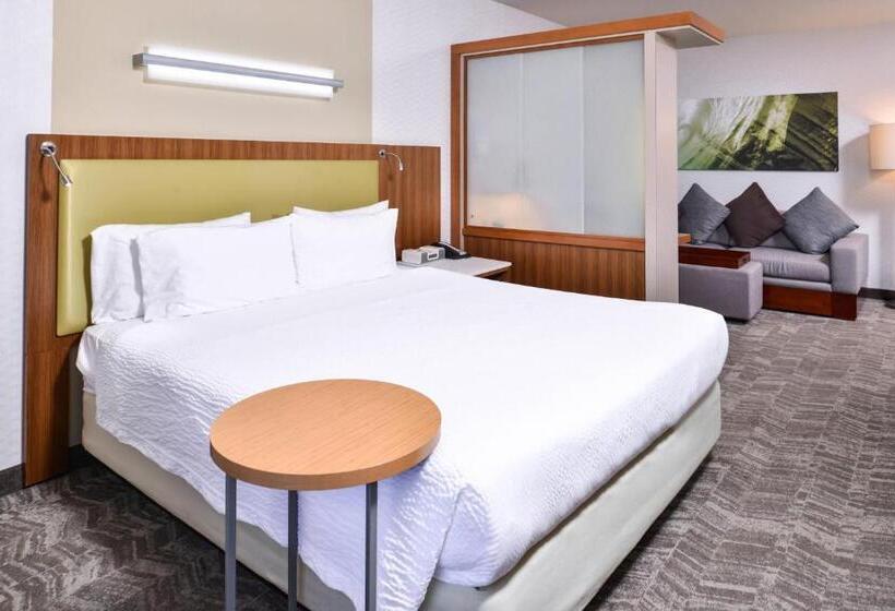 带大床的标准间, Springhill Suites Temecula Valley Wine Country