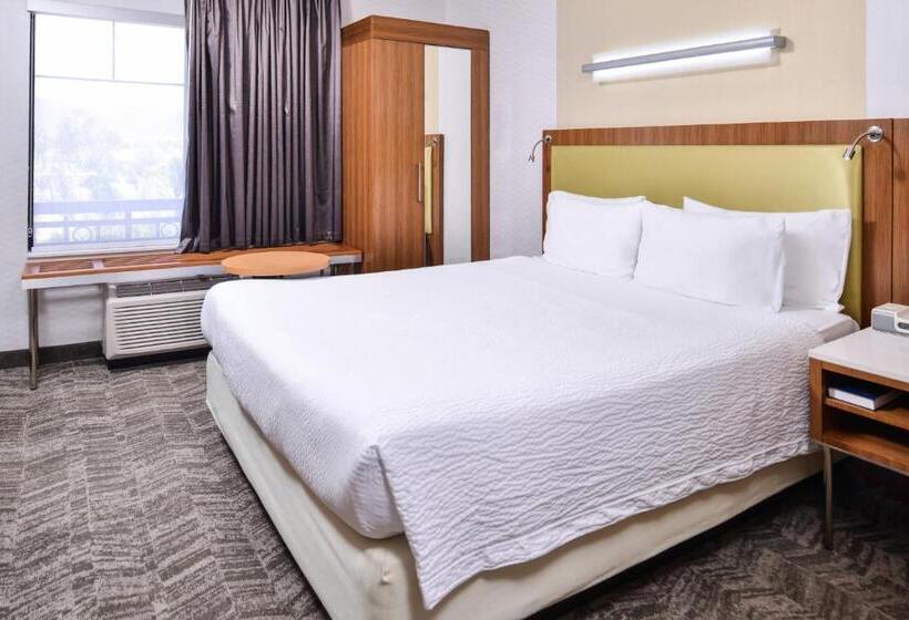 带大床的标准间, Springhill Suites Temecula Valley Wine Country