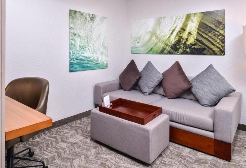 带大床的标准间, Springhill Suites Temecula Valley Wine Country