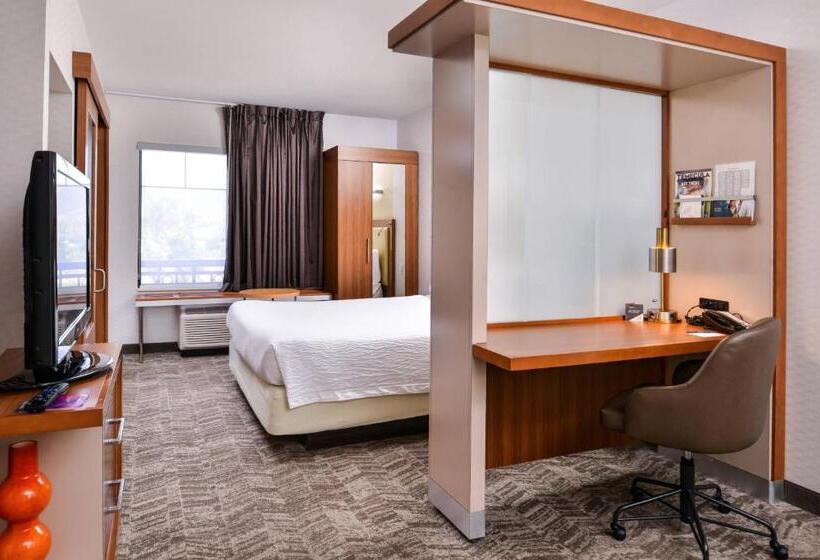 스탠다드 룸 킹사이즈 침대, Springhill Suites Temecula Valley Wine Country