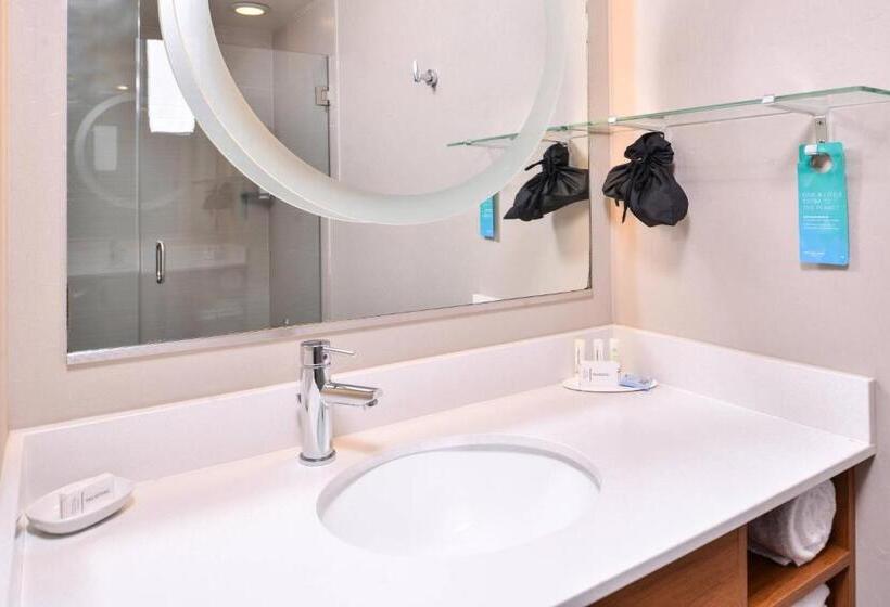 带2个双人床的标准工作室, Springhill Suites Temecula Valley Wine Country