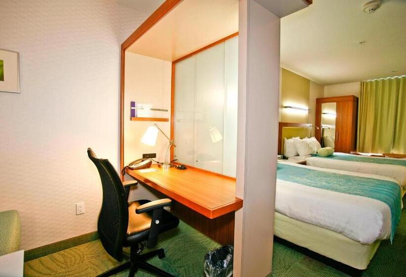 带2个双人床的标准工作室, Springhill Suites Temecula Valley Wine Country