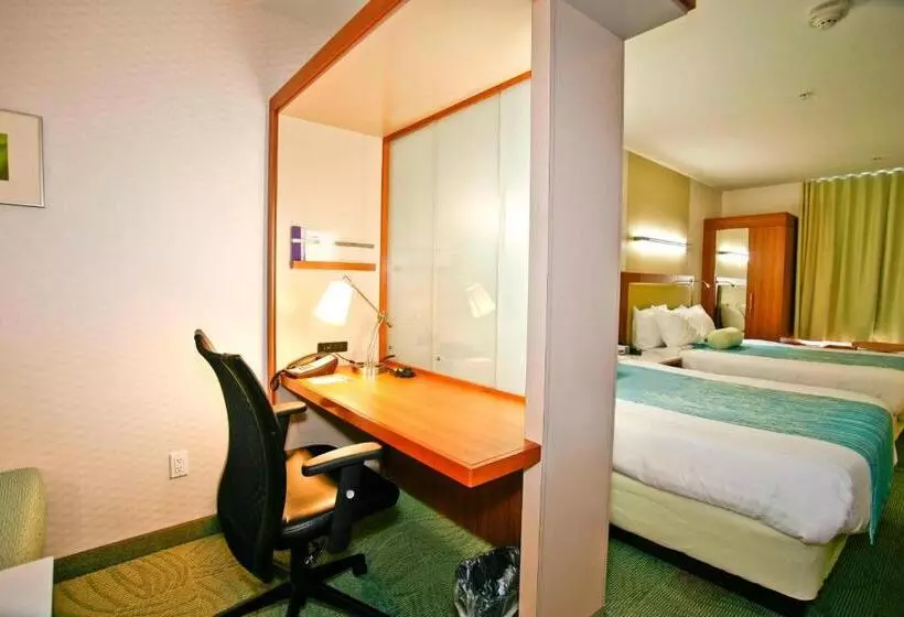 ２ダブルベッドのスタンダードルーム, Springhill Suites Temecula Valley Wine Country