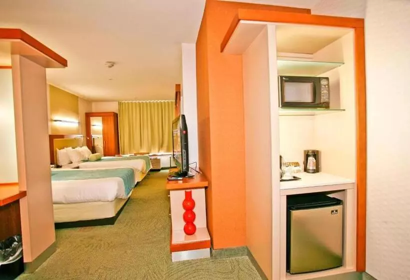 ２ダブルベッドのスタンダードルーム, Springhill Suites Temecula Valley Wine Country