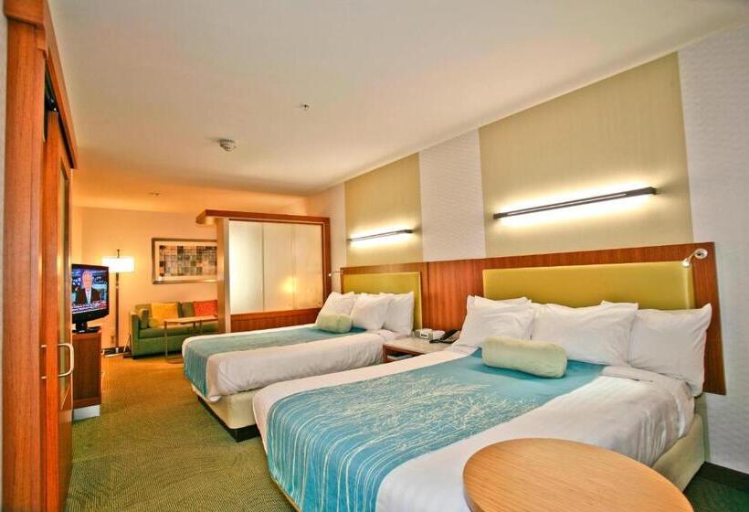 带2个双人床的标准工作室, Springhill Suites Temecula Valley Wine Country