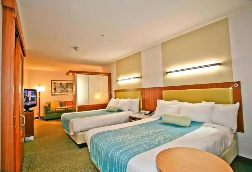 ２ダブルベッドのスタンダードルーム, Springhill Suites Temecula Valley Wine Country