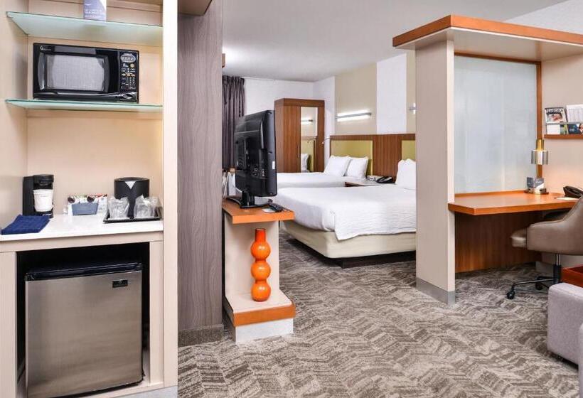 带2个双人床的标准工作室, Springhill Suites Temecula Valley Wine Country