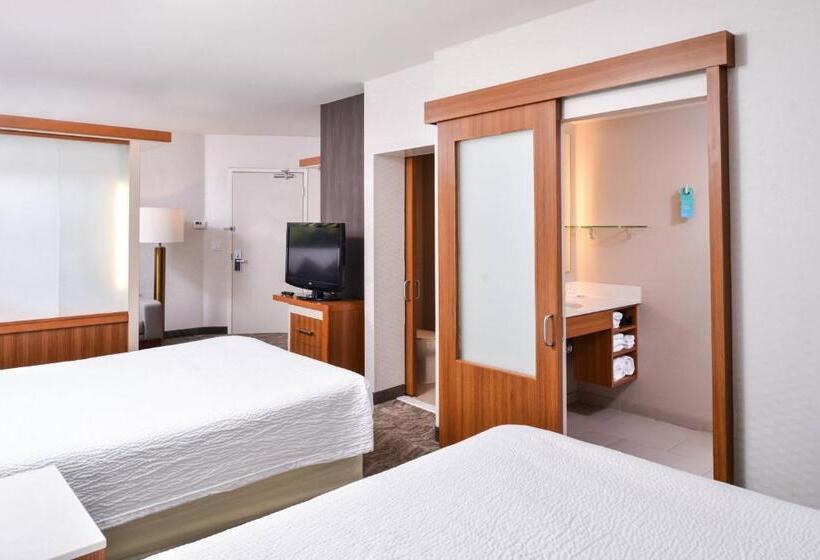 带2个双人床的标准工作室, Springhill Suites Temecula Valley Wine Country